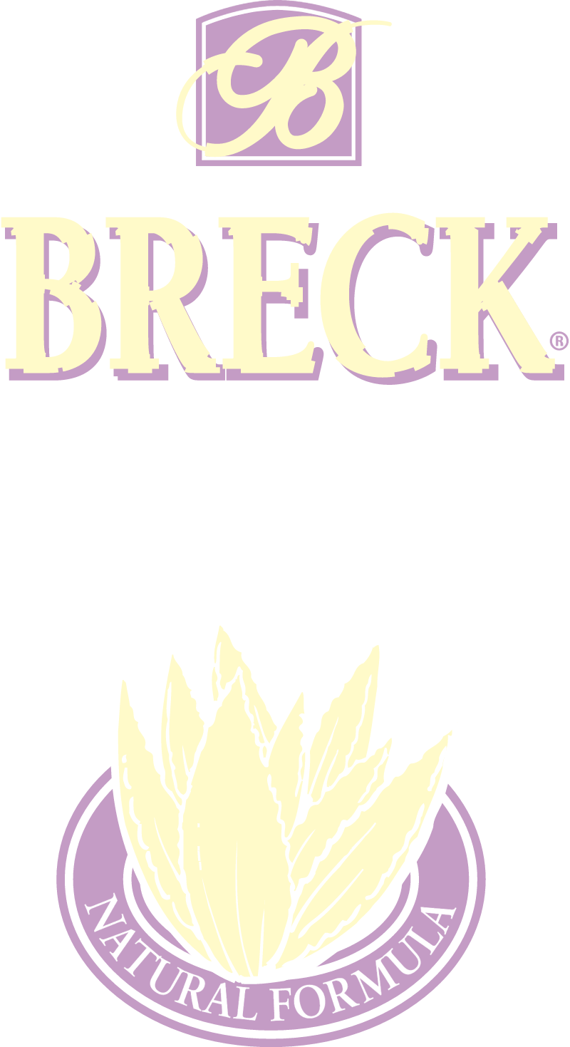 Breck logo vector