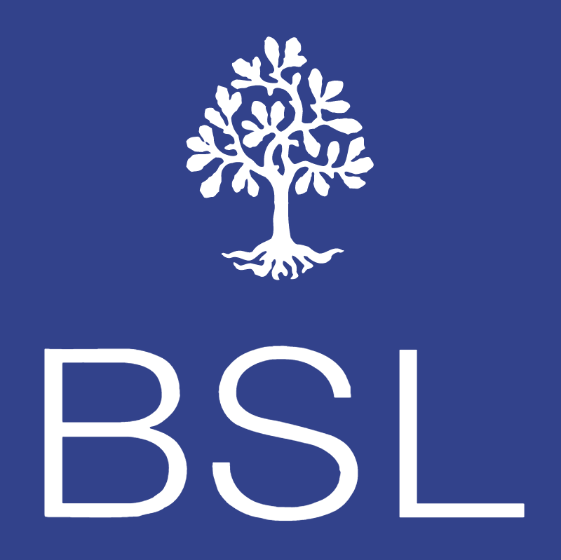 BSL 61996 vector logo