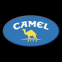 Camel vector