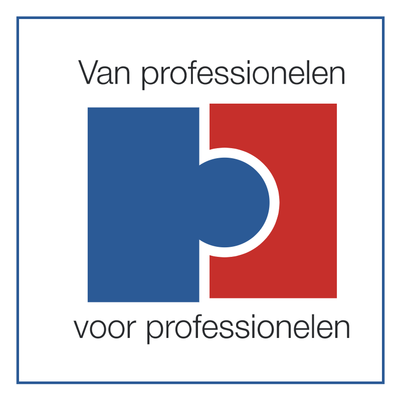 Van professionelen vector logo