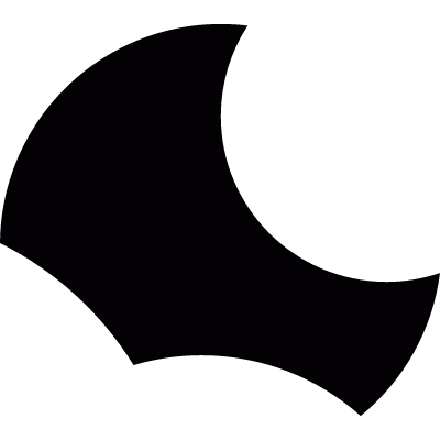 Dark Night vector logo