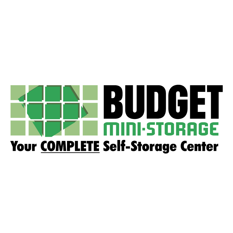 Budget Mini Storage 81243 vector logo