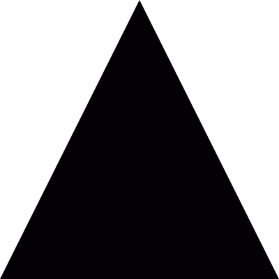Dark triangle vector logo
