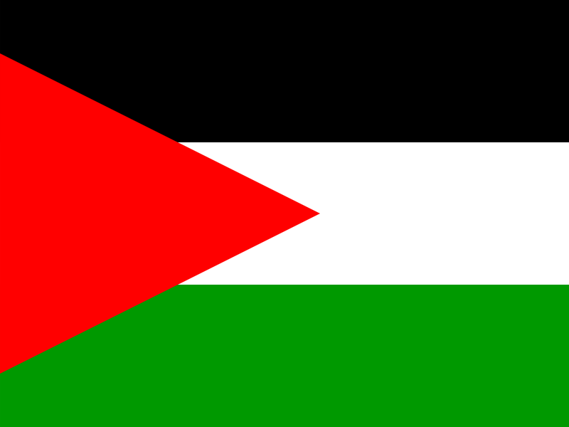 Flag of State of Palestine vector