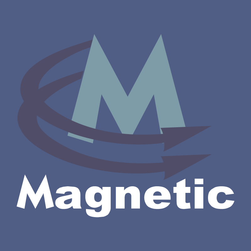 Magnetic vector