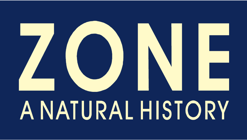 Zone vector logo