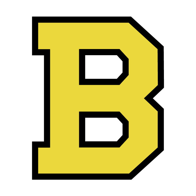Boston Bruins vector