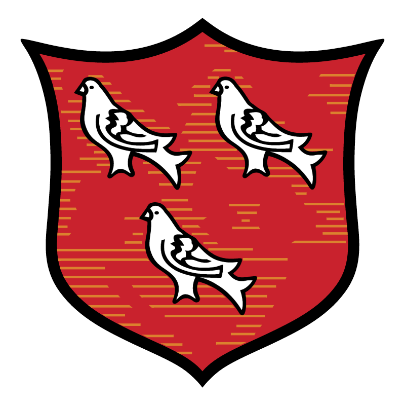 Dundalk FC vector logo