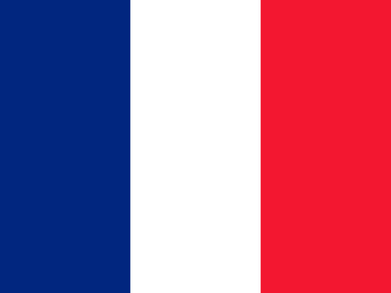 Flag of France vector