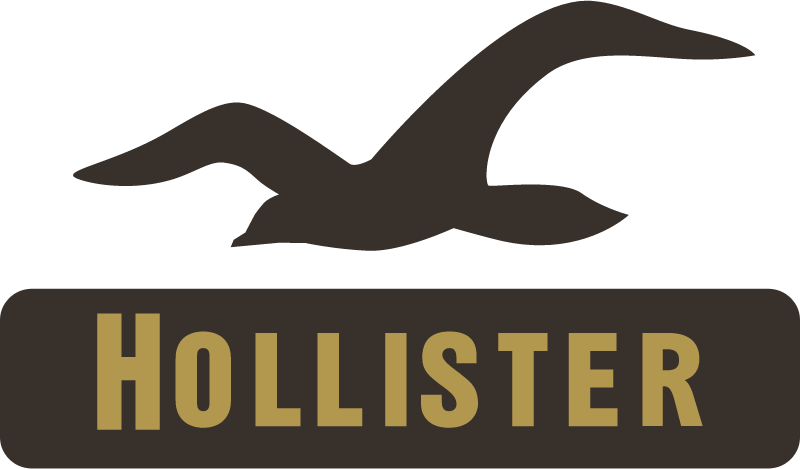 Hollister Co vector
