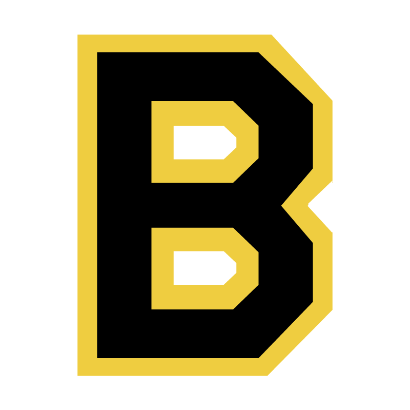 Boston Bruins 76876 vector