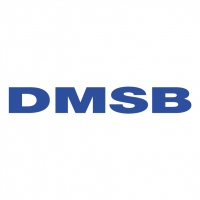 DMSB vector