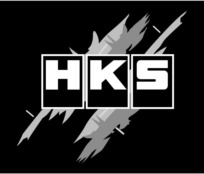 HKS vector