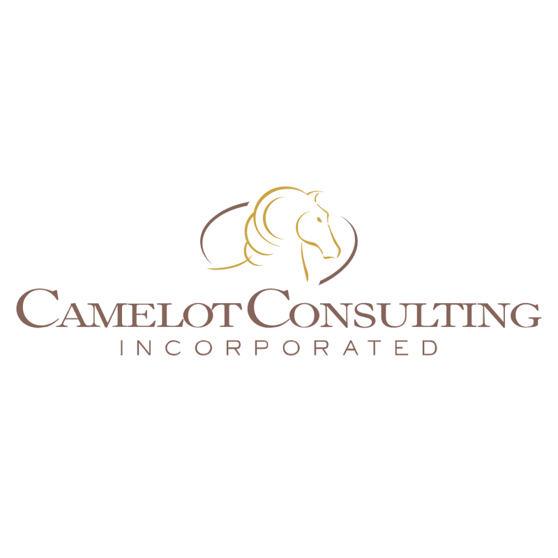 Camelot Consulting vector