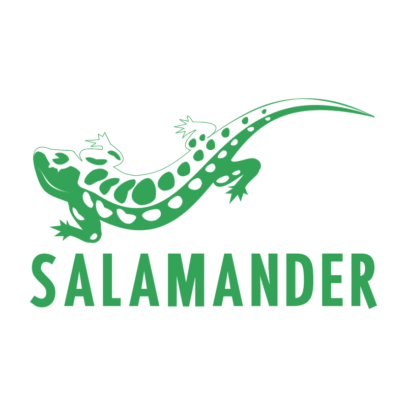 Salamander vector logo