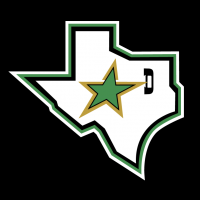Dallas Stars vector