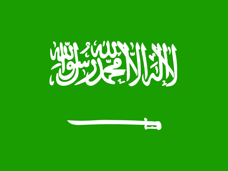 Flag of Saudi Arabia vector