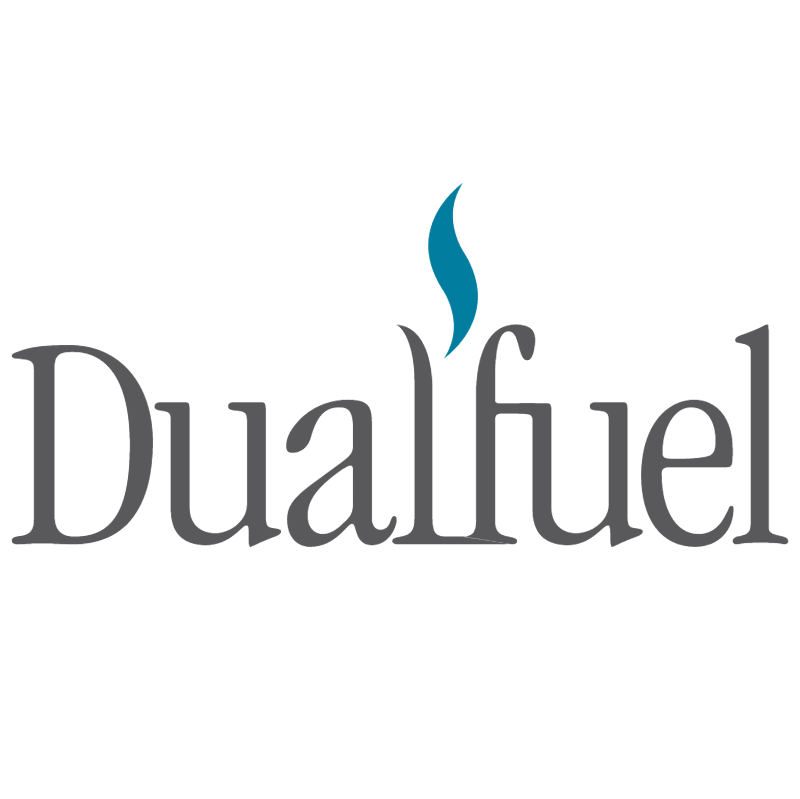 Dualfuel vector logo