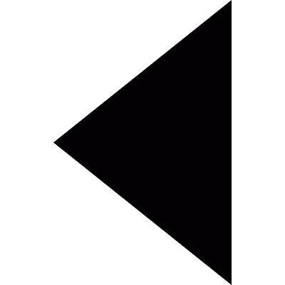 Triangle left vector logo