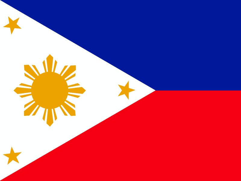 Flag of Philippines vector