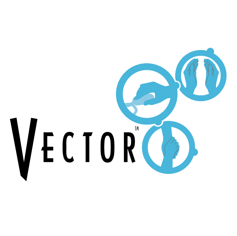 Vector Networks vector