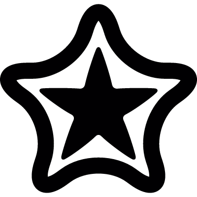 Double layer star vector logo