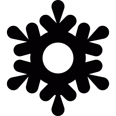 Snowflake vector logo