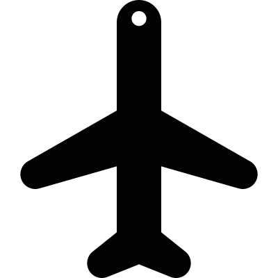 Airliner vector logo