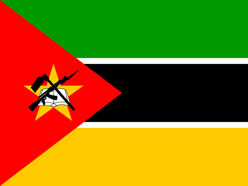 Flag of Mozambique vector