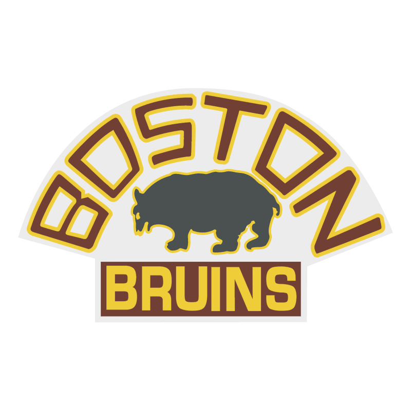 Boston Bruins vector