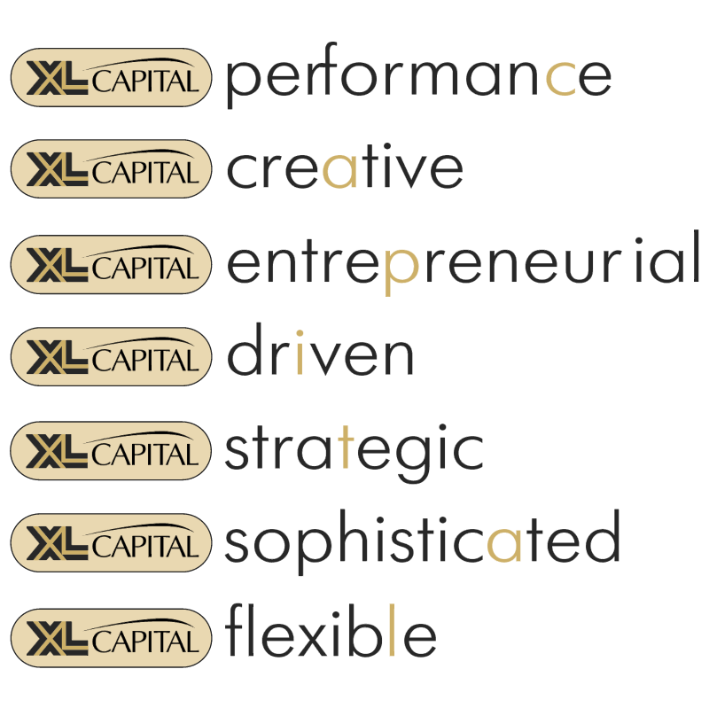 XL Capital vector