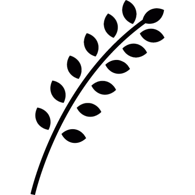 Ear of wheat vector logo
