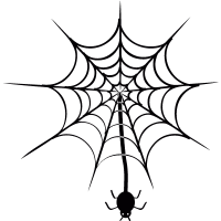 Spider hanging of  web vector