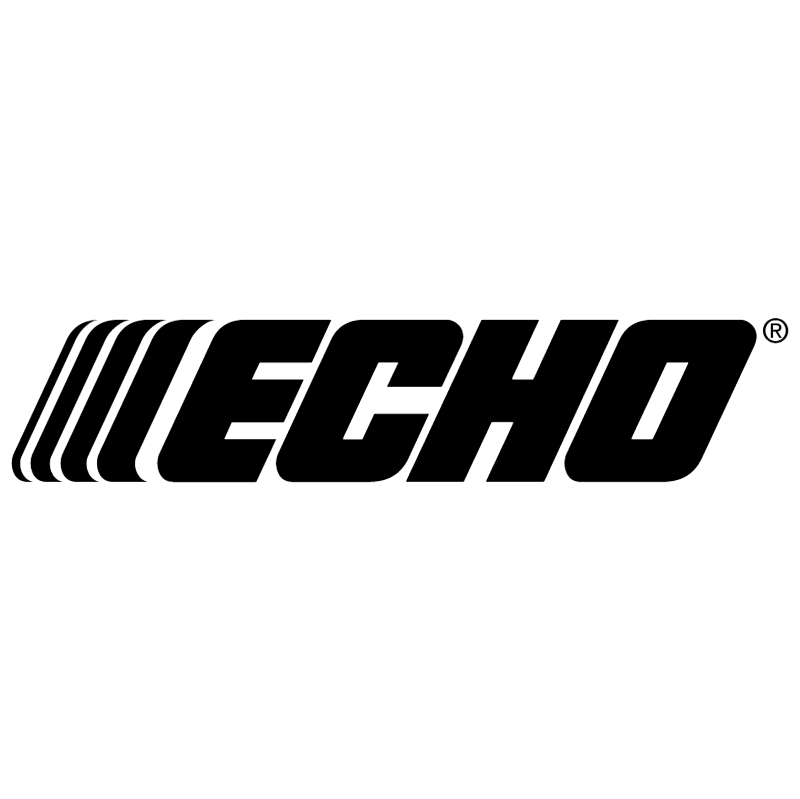 Echo vector