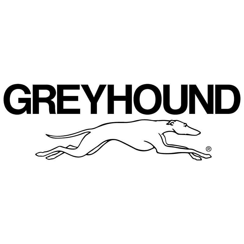 Greyhound Bus Lines vector