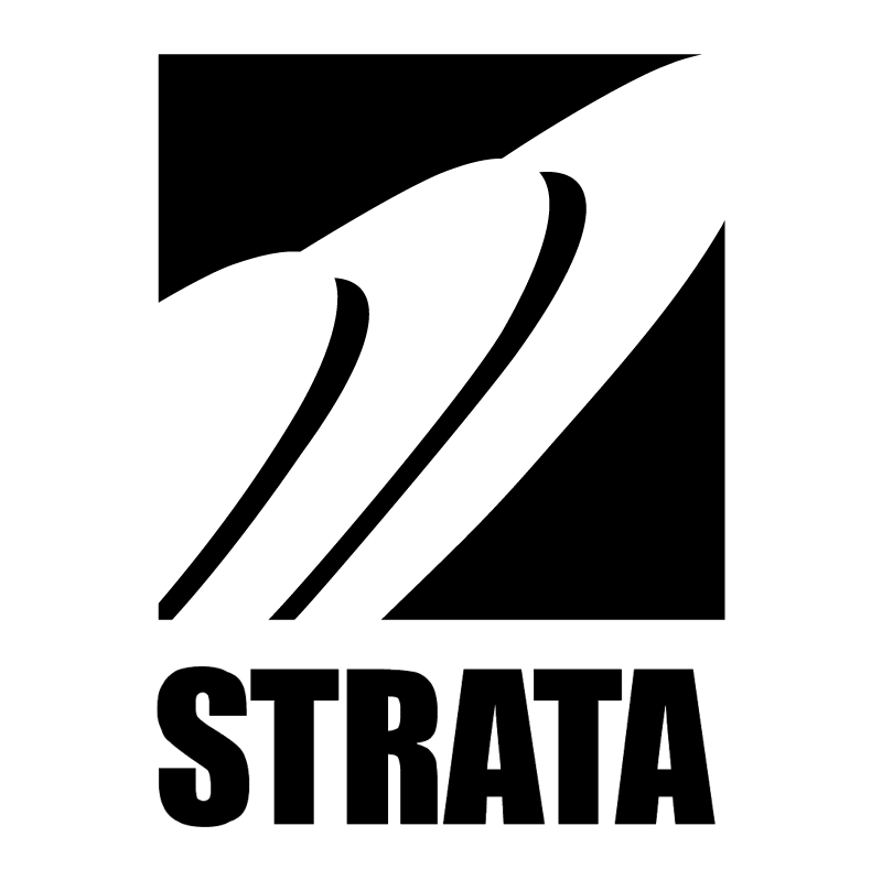Strata Software vector