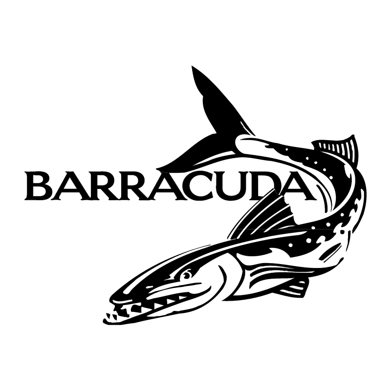 Barracuda vector