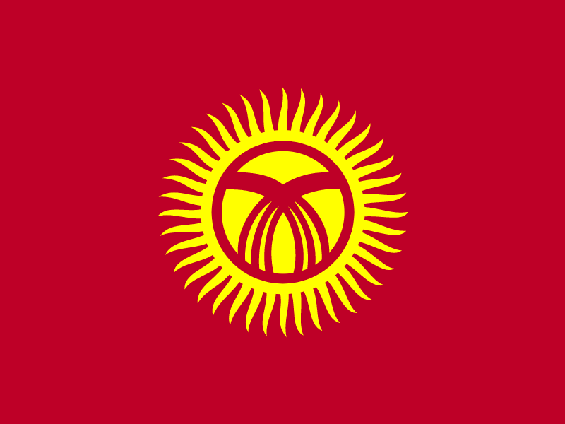 Flag of Kyrgyzstan vector