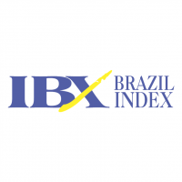 IBX Brazil Index vector