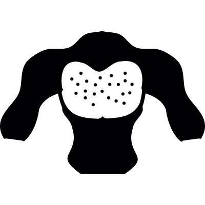 Chest vector logo