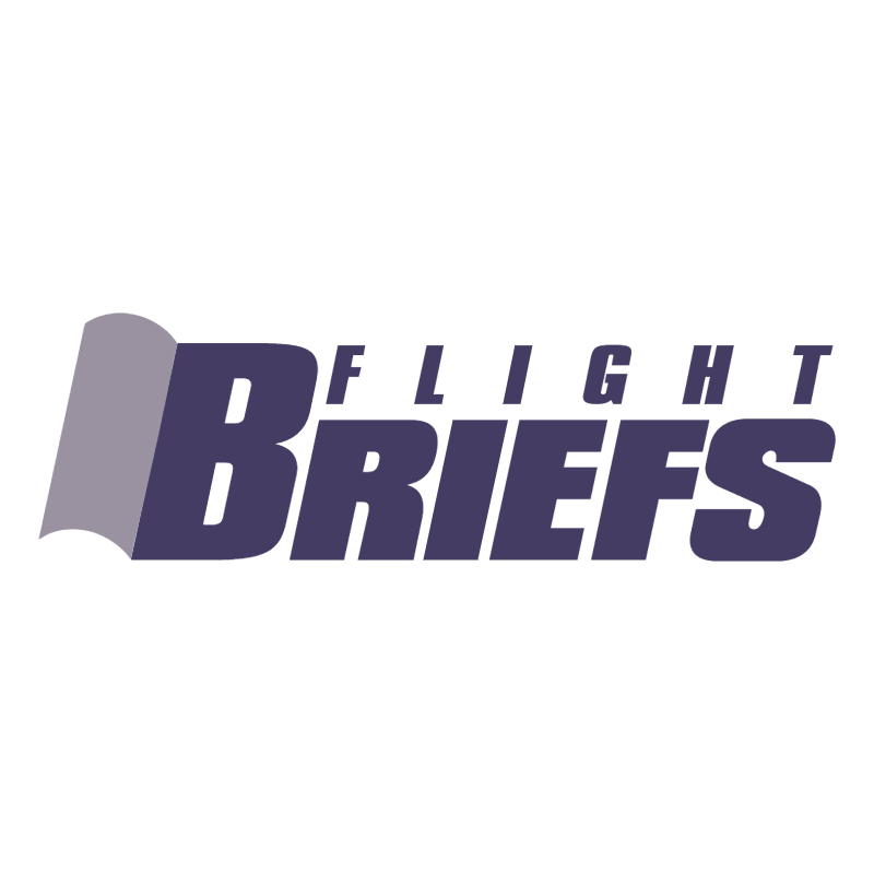 Briefs Flight 38717 vector