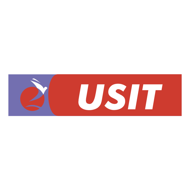USIT Travel vector