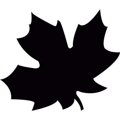 Autumn leaf vector logo
