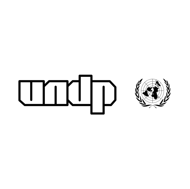 UNDP vector