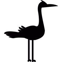 Stork vector