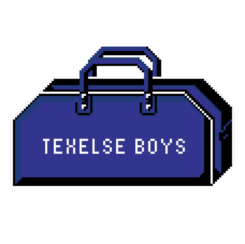 Texelse Boys vector