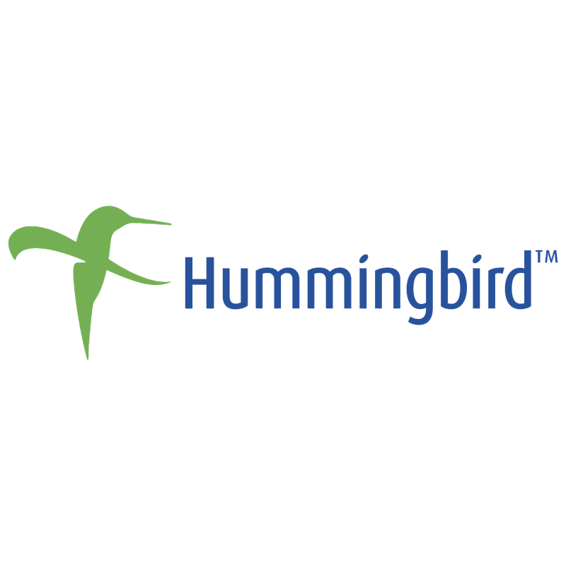 Hummingbird vector