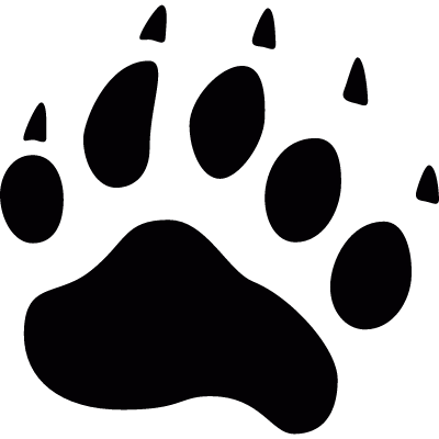 Bear pawprint vector logo