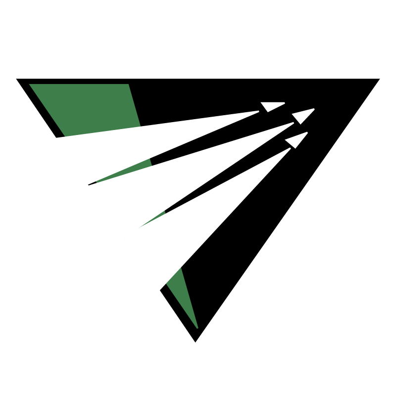 Raliegh Durham Skyhawks vector logo