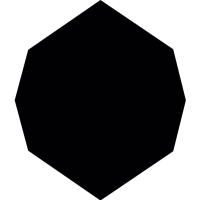 Black octagon shape vector
